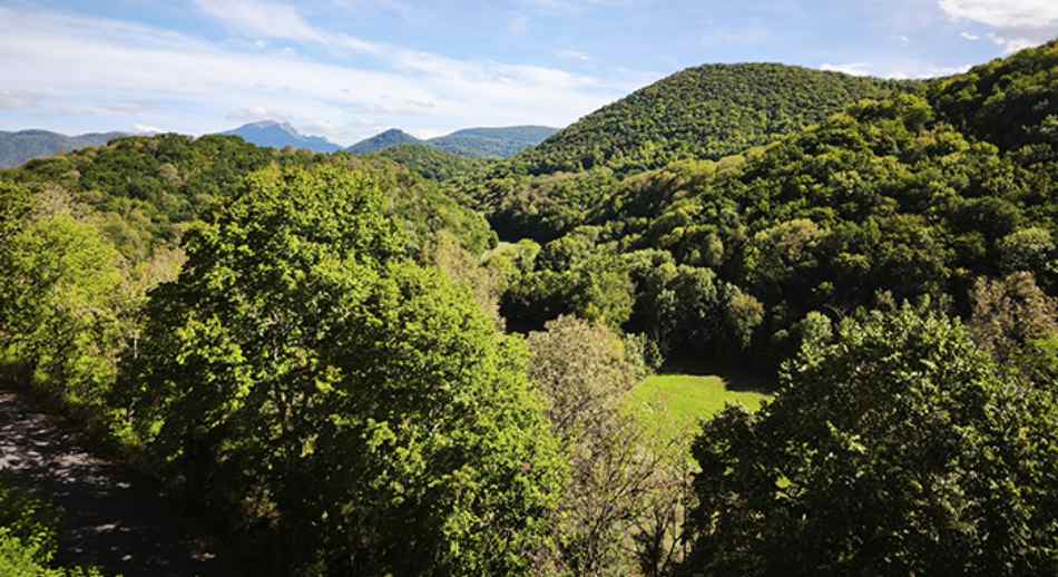 parque natural ArturoCrosby