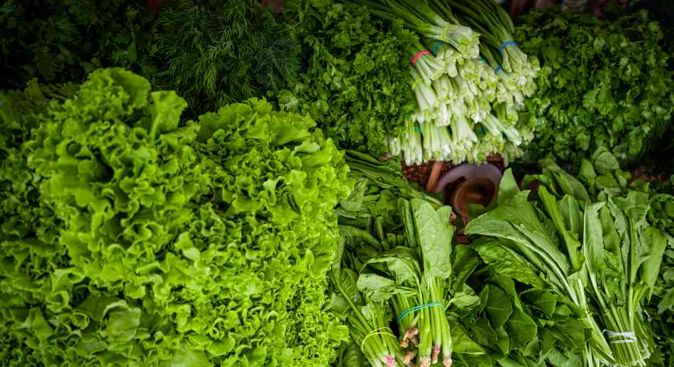 8. Verduras de hoja verdes