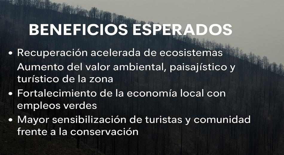 Beneficios esperados tras un incendio1