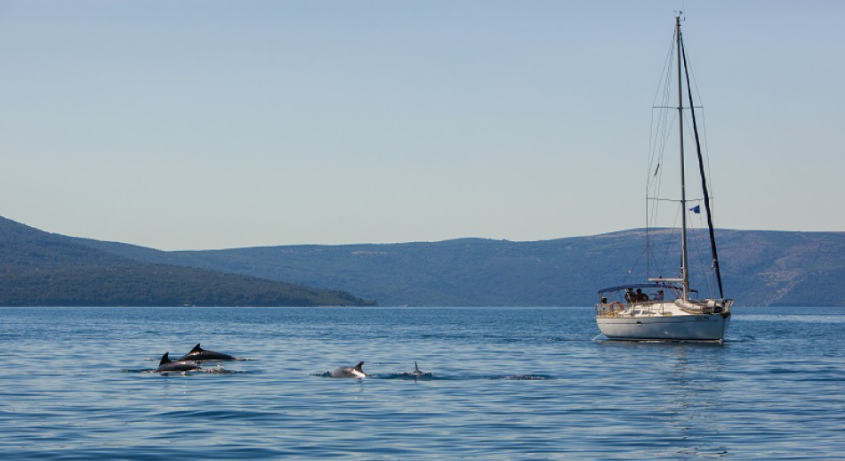 Disfrutar de la costa croata en moto acuática o embarcaciones