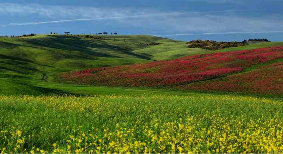 El paisaje de la Val dOrcia 1