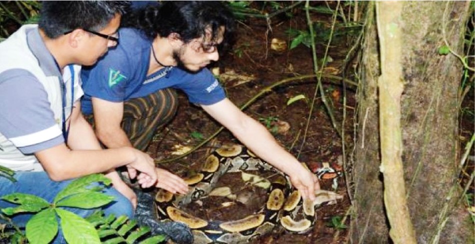 Gualaquiza destino en el Amazonas para conocer la fauna