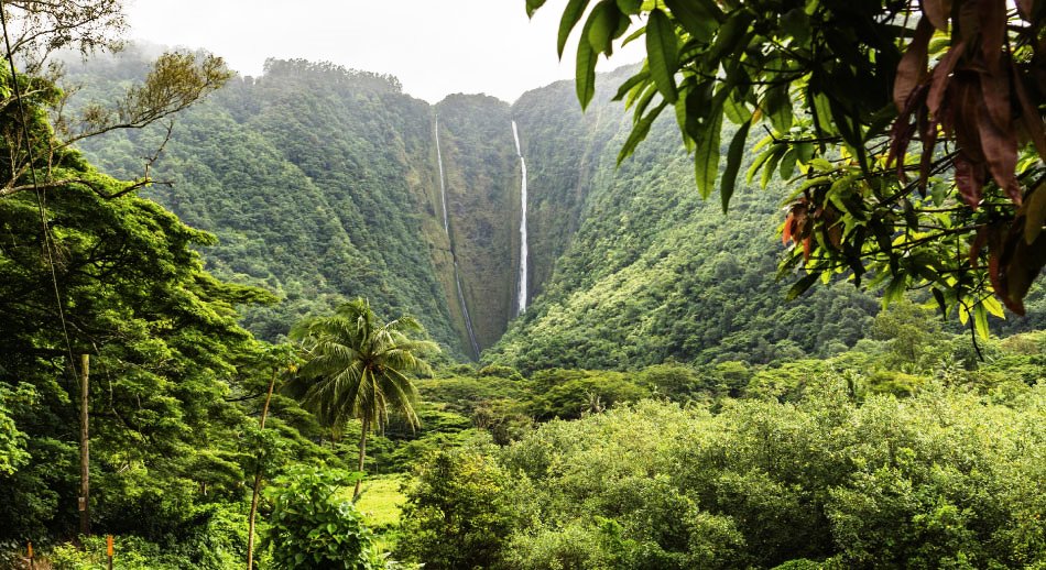 Hawai y el Parque Nacional Volcanes