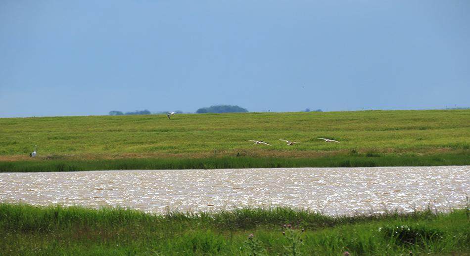 Lagunas_de_Villafáfilia.jpg