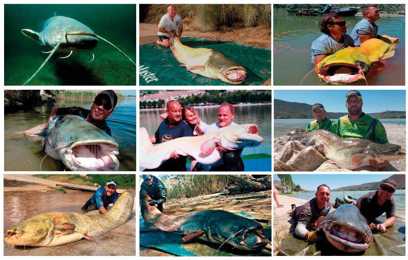Los Monstruos Rio Ebro en imágenes