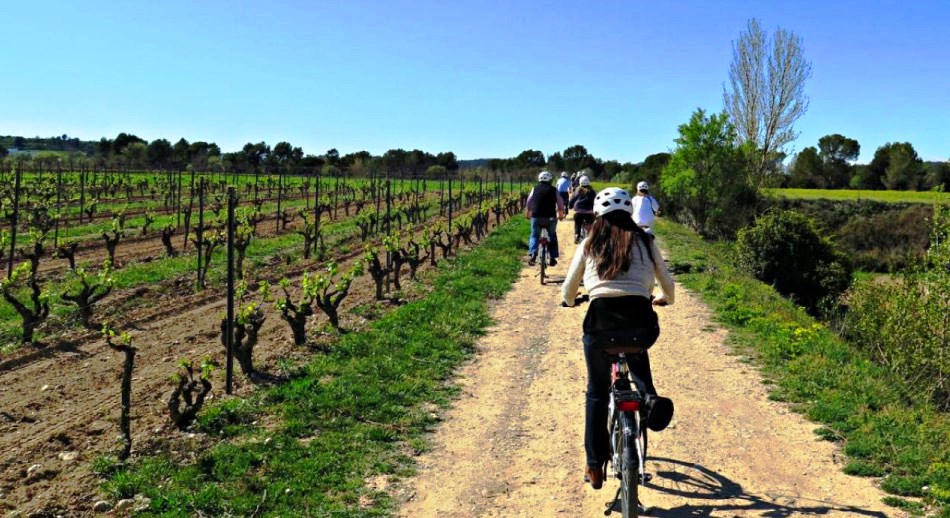 Los top10 verano entre viñas - bicicleando