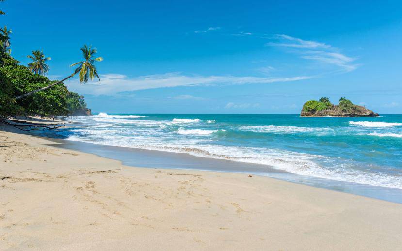 Las Mejores Playas Para Surfear En Costa Rica