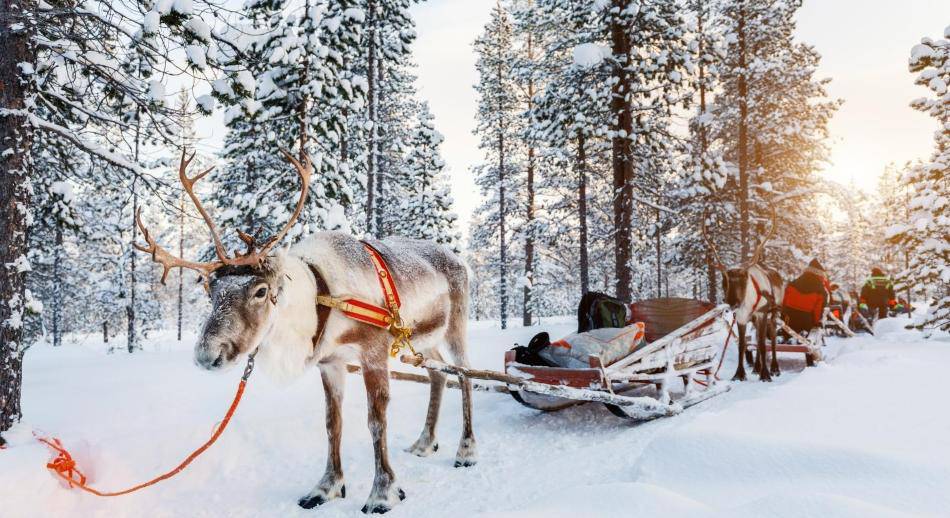 De visita a Papá Noel Laponia Finlandia