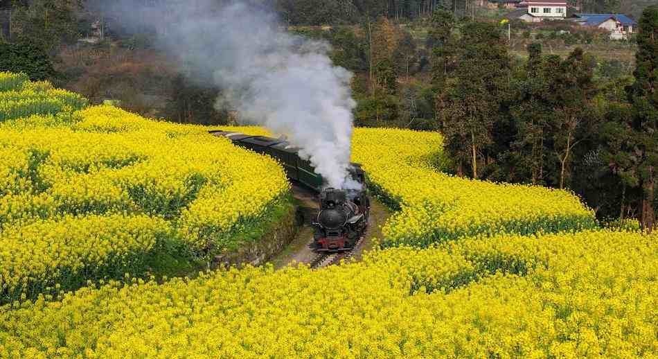 Tren_Leshan_China.jpg