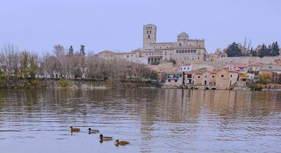 Zamora.jpg
