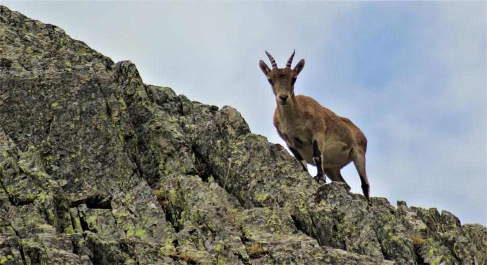 La rentabilidad y negocios en los espacios naturales protegidos en España