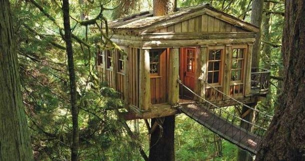 hoteles en la selva
