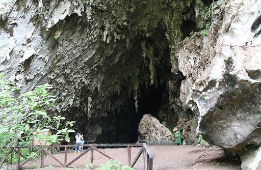 la cueva del guacharo