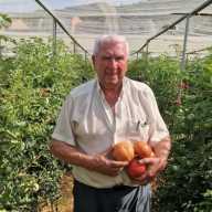 El   bombón de  Artesa: cómo convertir un tomate en el mejor del mundo