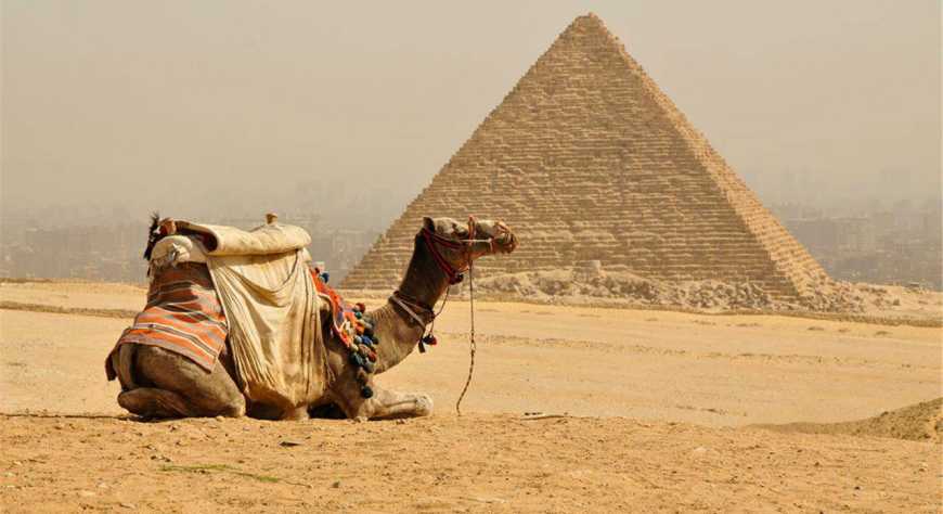 Egipto reactivará el turismo con sus mas valiosos tesoros 