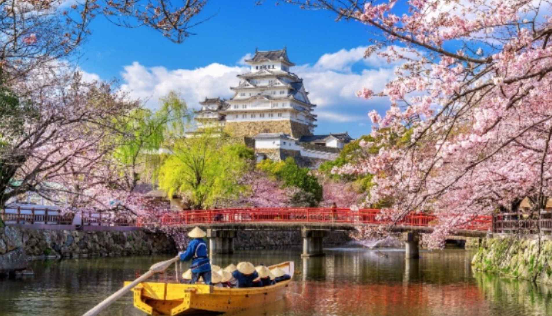¡Descubre el mejor momento y los destinos imprescindibles para tu viaje a Japón!