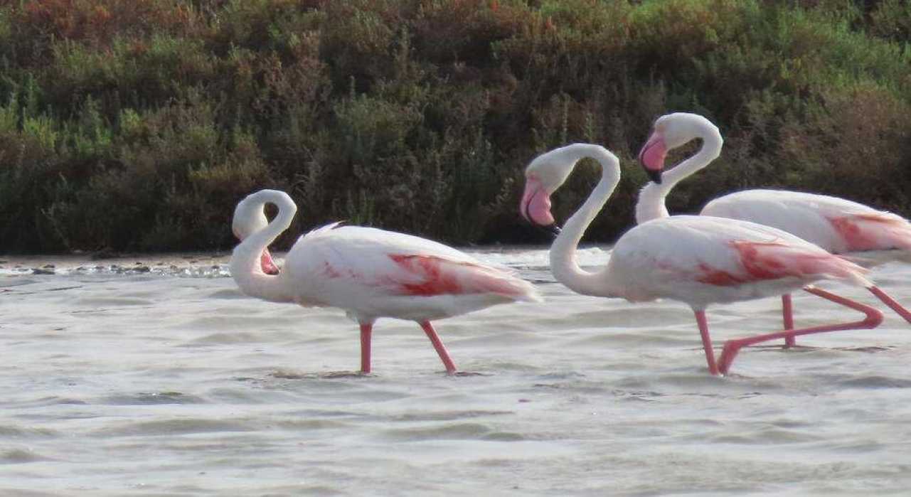 Hagamos del Turismo un factor positivo para la Naturaleza