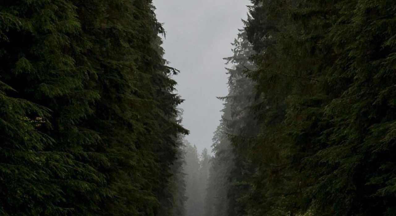 Los destinos invisibles: viajar donde nadie quiere que vayas