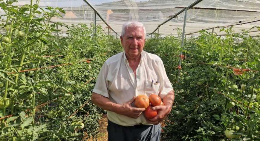 Pepe Pijuan, el hombre que  quiso hacer el mejor  tomate del mundo