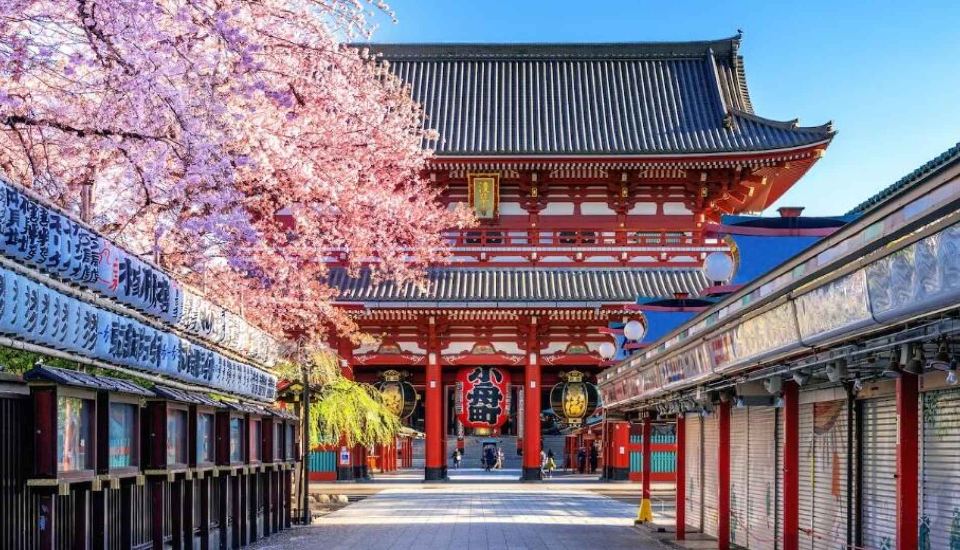 ¿Por qué Japón sigue siendo un destino imprescindible para los viajeros occidentales?