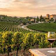 Rutas de los Vinos Franceses: Guía Completa para los Amantes Españoles