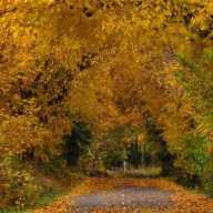 León, entre el rojo del otoño y el brillo de la Navidad