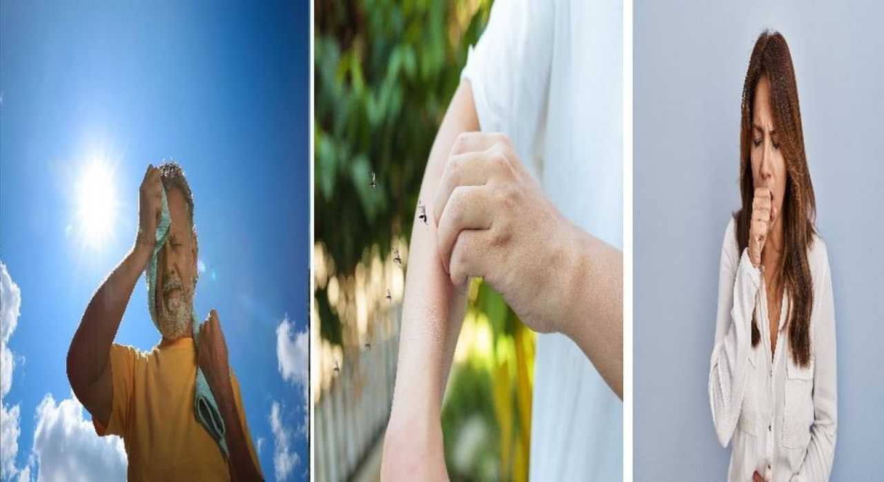  Enfermedades más comunes en verano: cuáles son y cómo prevenirlas