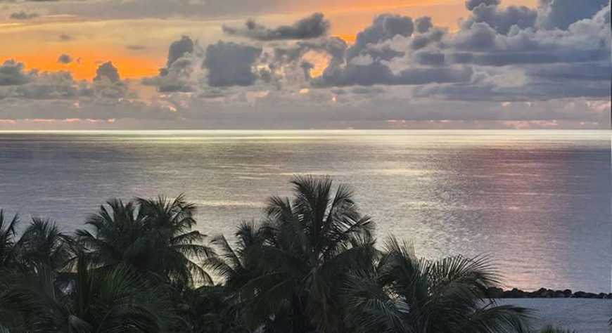 Miami, el destino reinventado con innovación y sostenibilidad