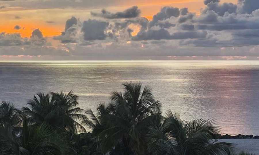 Miami, el destino reinventado con innovación y sostenibilidad