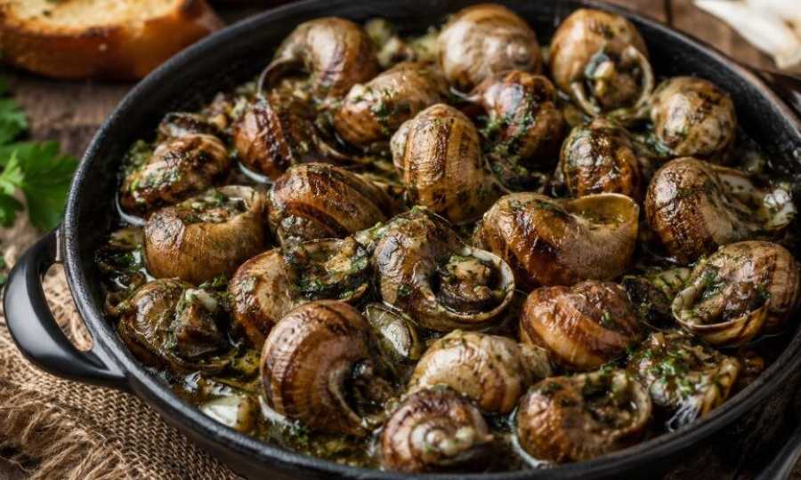 Los caracoles: el tesoro gastronómico que vuelve a conquistar las mesas