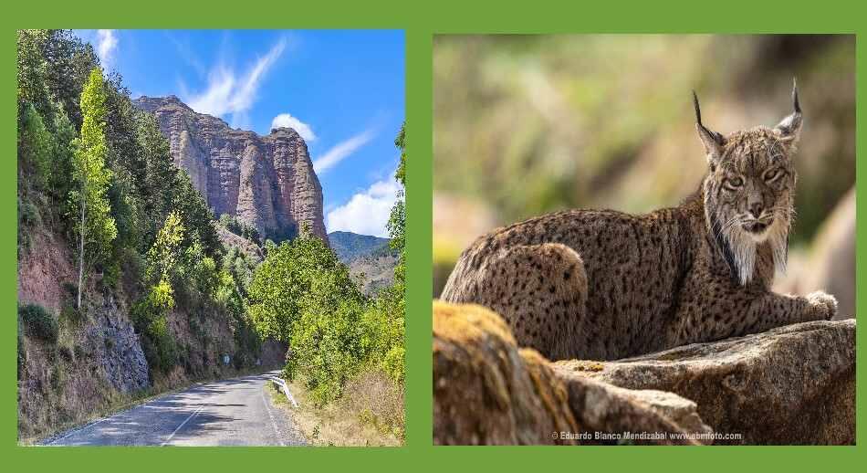  Nominados Tourism4Nature 2025