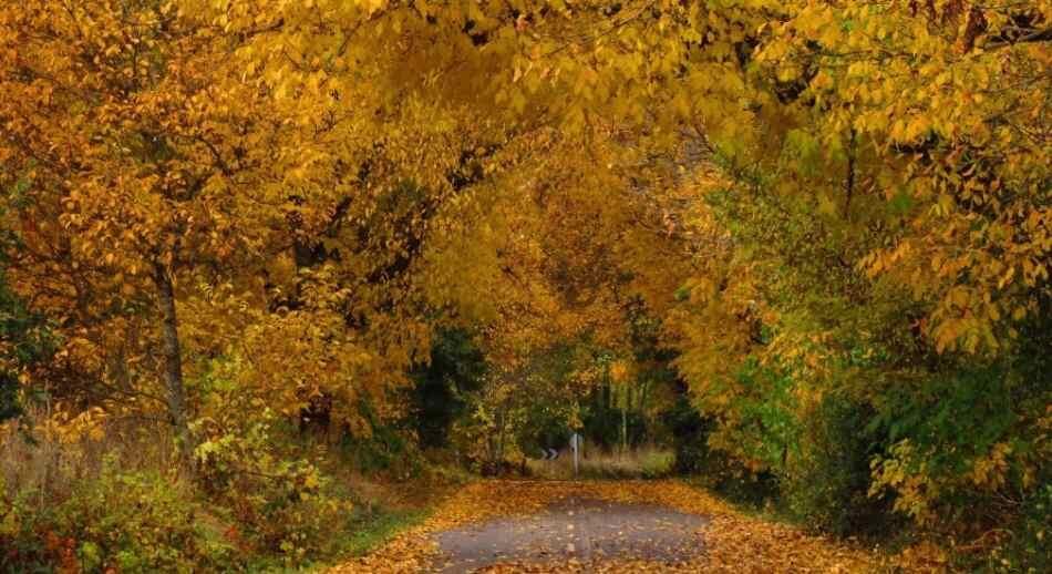 Valles de Omaña y Luna 